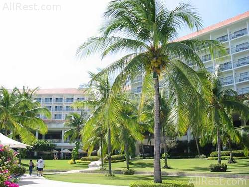 Shangri-la Island Resort